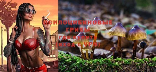 МДПВ Алзамай