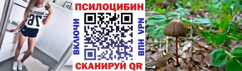 МЕГА вход  Пустошка  Псилоцибиновые грибы MAGIC MUSHROOMS  купить наркотики сайты 
